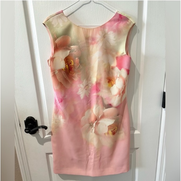 Ted Baker Damona Rose On Canvas Sleeveless Pink Floral Mini Dress - Picture 6 of 12